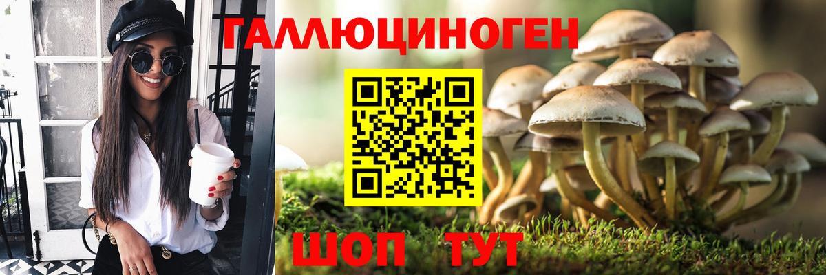 Псилоцибиновые грибы Psilocybe  Псилоцибиновые грибы MAGIC MUSHROOMS  Вичуга  Вход с VPN 